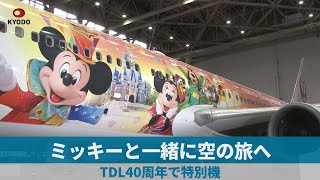 ミッキーと一緒に空の旅へ TDL40周年で特別機