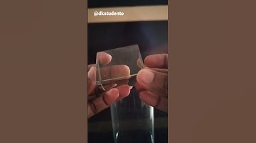 Refraction of light through Equilateral Prism #shorts #science #ytshorts