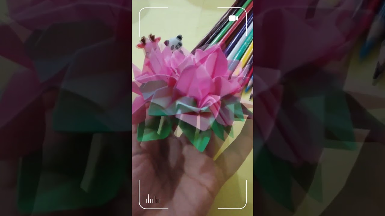 Lotus: symbol of purity, grace, and the inherent beauty found in nature's design 