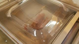 Vacuum Chamber Sealer Test