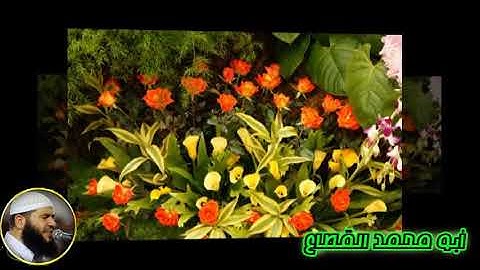 76 القارىء غسان الشوربجي سورة الإنسان