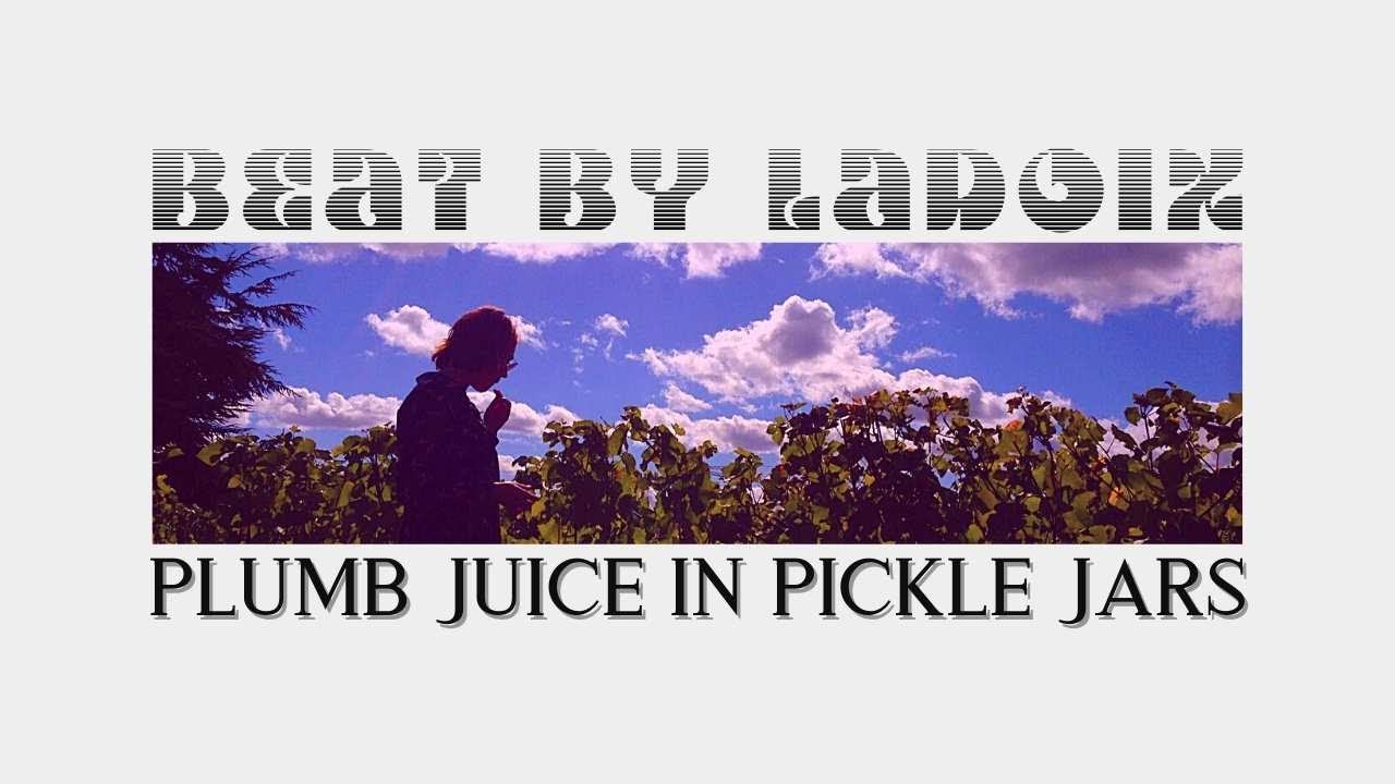 🌈Lizzo Type Beat💟Plumb Juice by Ladoix💃Dua Lipa Type Beat 2022