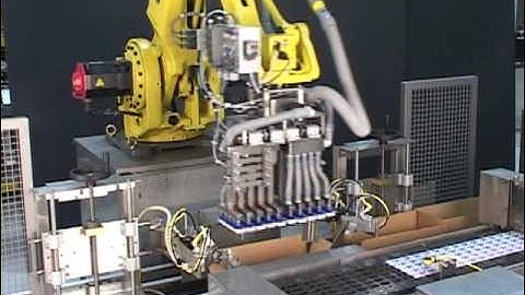 Cup case packer | Case packing from filler