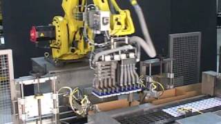 Cup case packer | Case packing from filler