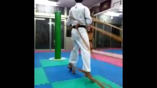 20151230武鬥北斗本部練習(3)