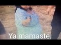 Un ratito de universop3