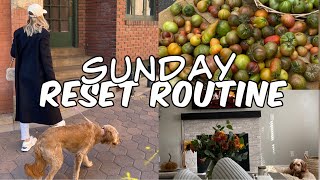 SUNDAY RESET ROUTINE: Deep cleaning + Grocery store run + How I prep for the week + Self care