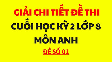 Đề thi cuối kì 2 - Tiếng Anh Lớp 8 (Đề 1)