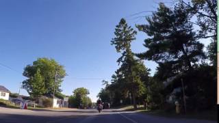 Suicide Squirrel - Wasaga Beach July 16, 2016