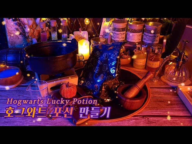 Korean ASMR | Harry Potter⚡Hogwarts Lucky Potions Roleplay / Eng sub