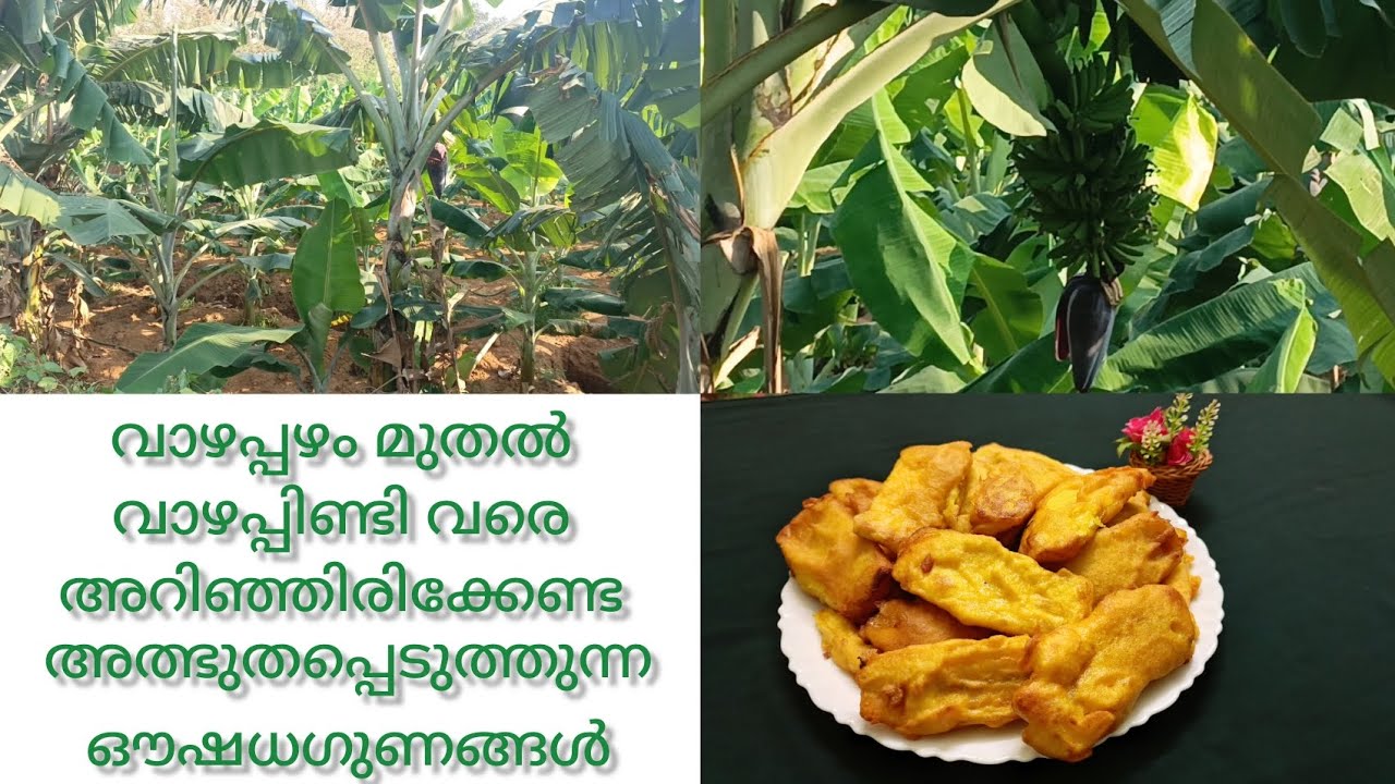 വാഴപ്പഴത്തിന്റെ ഈ ഗുണങ്ങൾ അറിയാതെ പോയാൽ നിങ്ങൾക്കാണ് നഷ്ടം തീർച്ചയായും അറിഞ്ഞിരിക്കേണ്ട അത്ഭുതങ്ങൾ 