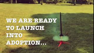 Ready for liftoff!