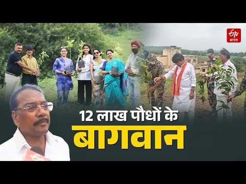 Indore Plantation: हरे-भरे पौधों से भर गई बजंर पहाड़ी, राजेंद्र राठौर की मेहनत लाई रंग | MP News