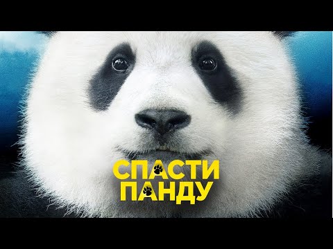 Спасти панду 2020 |Трейлеры онлайн | Фильмы про животных | Интересные фильмы