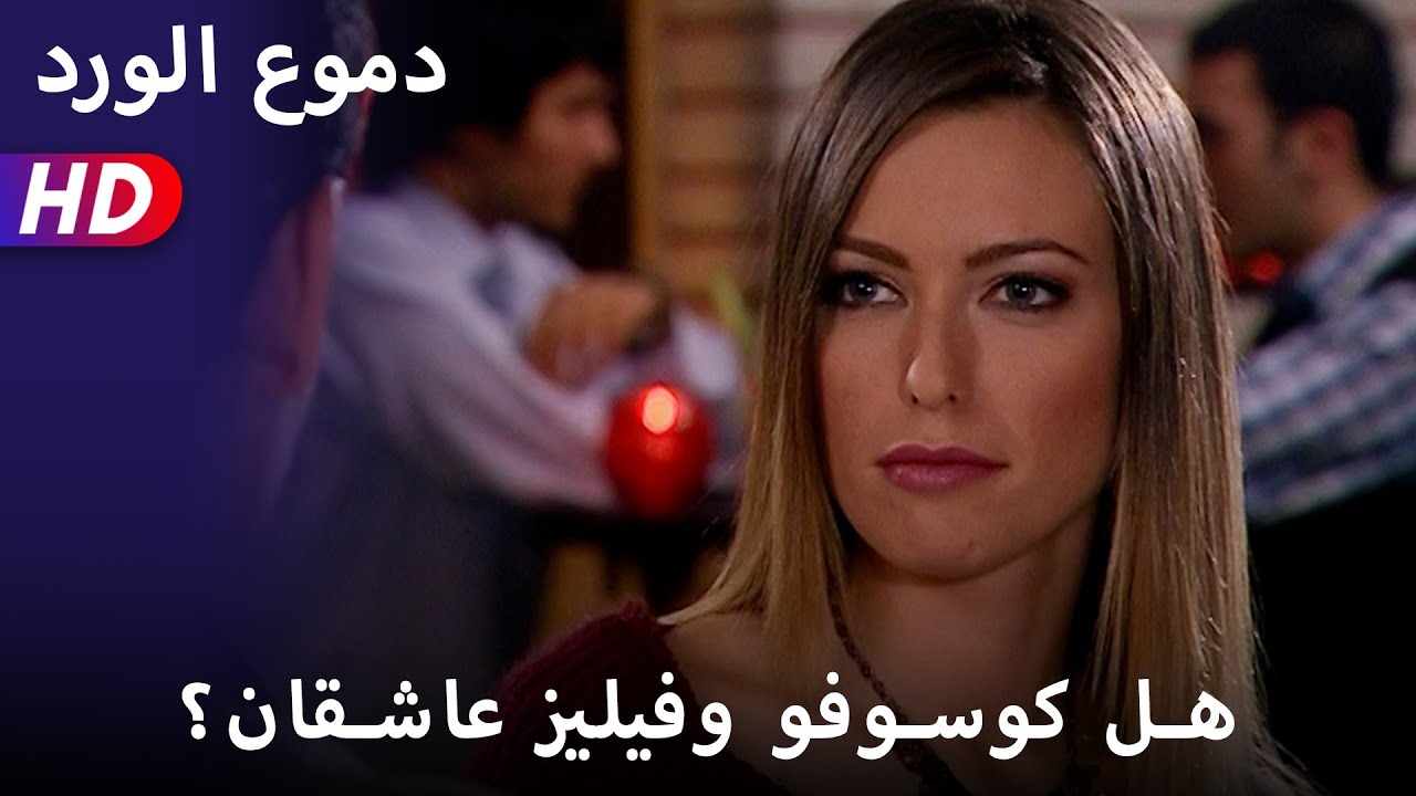 هل كوسوفو وفيليز عاشقان؟