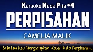 Perpisahan - Camelia Malik Karaoke Nada Pria +4