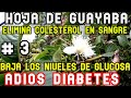 #3 ELIMINA COLESTEROL EN SANGRE , BAJA LOS NIVELES DE GLUCOSA , HOJA DE GUAYABA