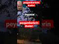 peygamberlerin duaları