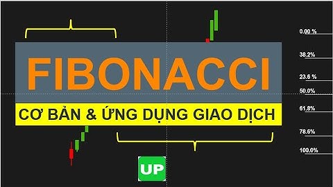 Hướng dẫn cơ bản và thực hành Fibonacci trong giao dịch