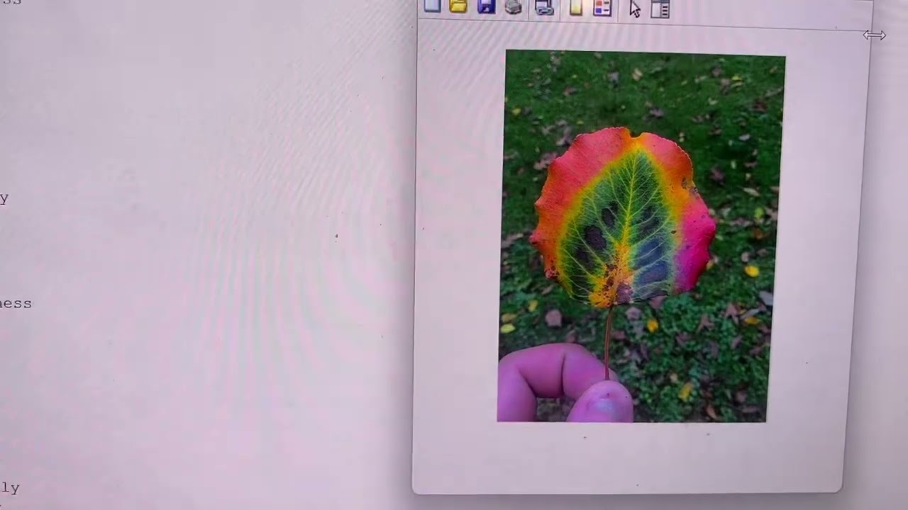 Sam Iyer-Singh ME 2004 Exam 1