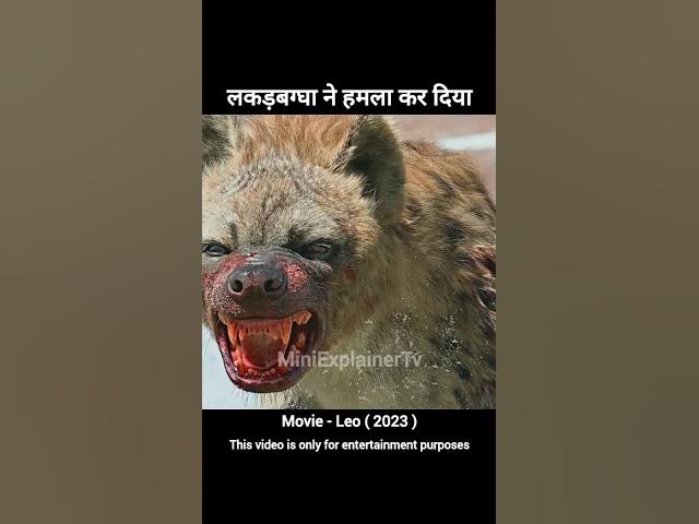 Leo South Indian Movie Explain In Hindi | #shorts #shortsfeed #viralvideo