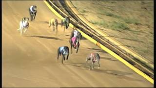 Shp Mon 09 Nov 15 R9