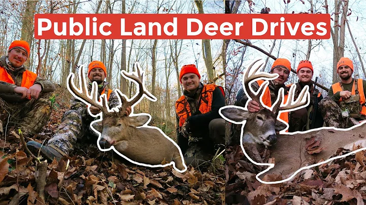 Ohio Public Land | 3 Man Deer Drives | 290” In One Day