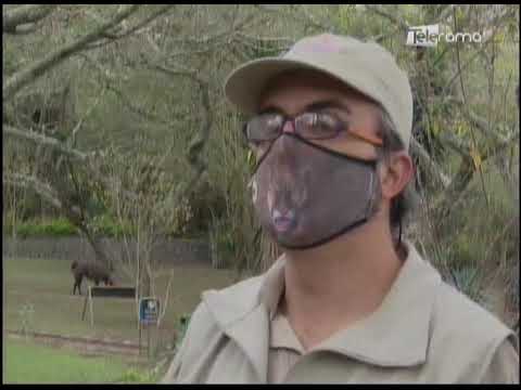 El zoológico de Quito en Guayllabamba reabre sus puertas