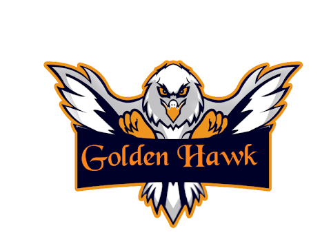 Golden Hawk Live Stream Youtube