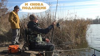 Рыбалка В Ноябре, Стая Подлещика Атаковала