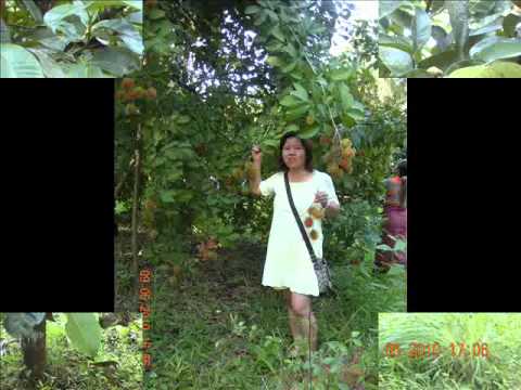 ขอบคุณที่ยังรักกัน...wmv
