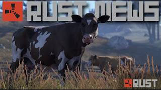 Rust Livestock Is Here! | RUST NEWS