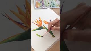 Watercolor plant painting #art #shorts #watercolor