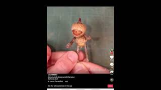David M. Bird Tiktok Becorns