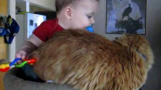 MVI_8200.AVI