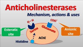 Anticholinesterases || Mechanism, actions, side effects & uses