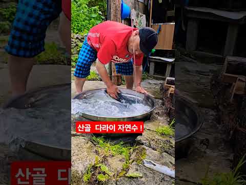 산골집 <strong>다라이</strong> 자연수 물소리 ᆢ