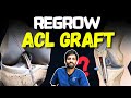 The Hidden Truth About ACL Graft STRENGTH Nobody Tells You