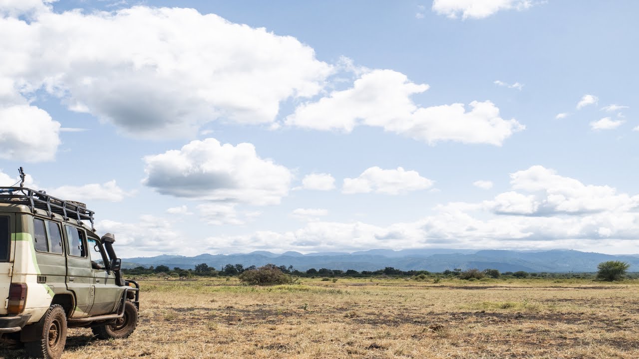 Meru National Park: The Wild Heart of Kenya