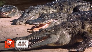 Live and Let Die (1973) 4K - Bond Runs Across Crocodiles (5/10) | Movieclips