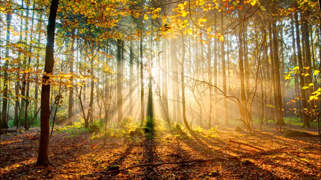 Lyresis x Drake - Lord Knows