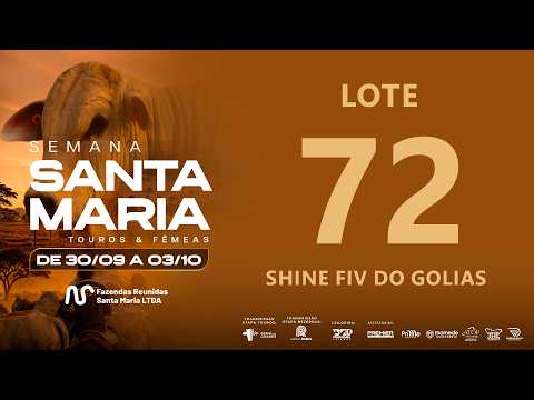 LOTE 72 FSAT 4673