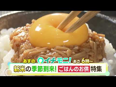 【HTB公式】9月26日(木)イチモニ！予告