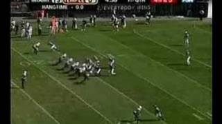 Anytime Devin Hester - Canespain