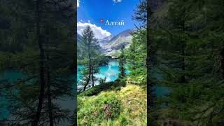 📍Алтай | Координаты локации и обзор в описании профиля!