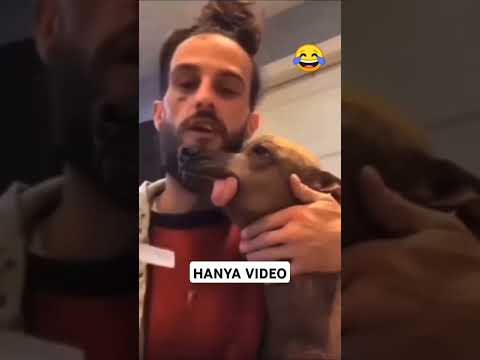 صحاب المزيانة هاد الكلب همزة المغرب اكسبلور اكسبلور  ضحك 