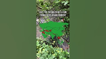 Day 7 of trying to get a sub from every Asian Country #shorts #asia #subscribe #fyp #viral #short