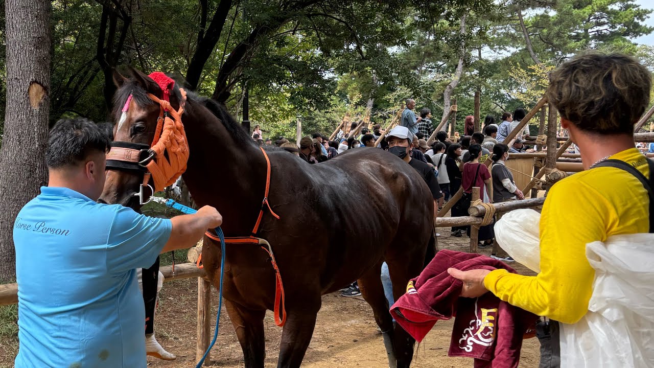 初版】伝承の行事 日本の祭 北海タイムス社 初版】伝承の行事 日本の祭