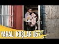 Yaralı Kuşlar 57. Bölüm