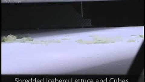 Fresh-cut Lettuce Processing on Optyx® 6000 Laser / Camera Sorter